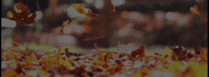 A close-up view of autumn leaves scattered on the ground, with some leaves gently falling. The background features a blurred bokeh effect, highlighting warm tones of orange and brown.